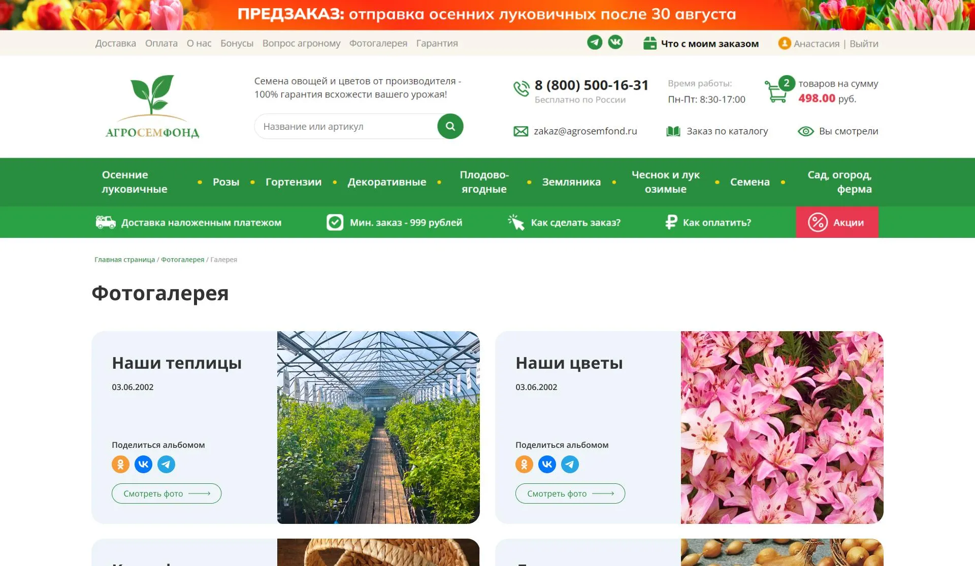 проект превью